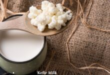 kefir milk,